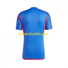 Olympique Lyonnais Borte Fotballdrakt 2023/24 Kortermet